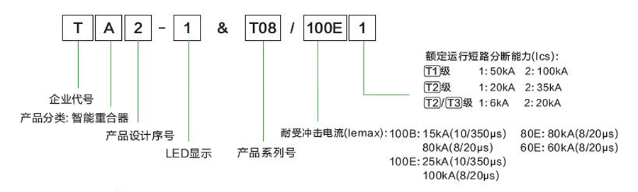 TA&T08型號含義.jpg